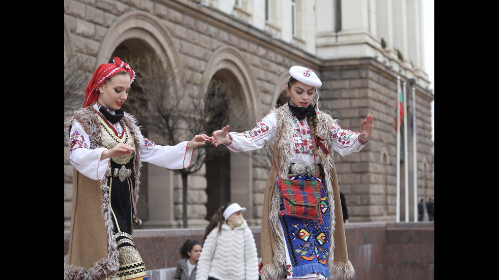 Частни фолклорни ансамбли излязоха на протест