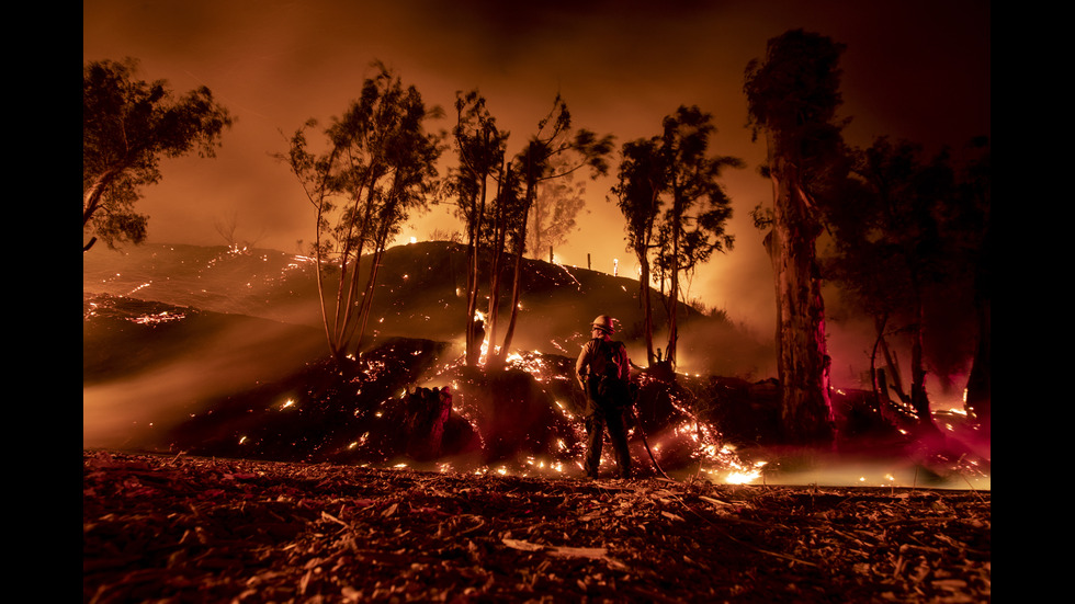 Новините на 2019-а в снимки