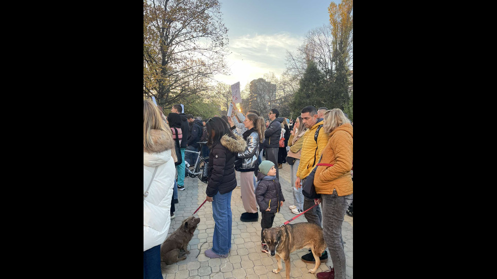 „Справедливост за Мая”: Стотици столичани излязоха на протест