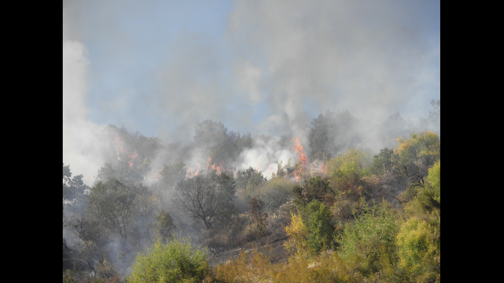 Голям пожар гори край Бобошево