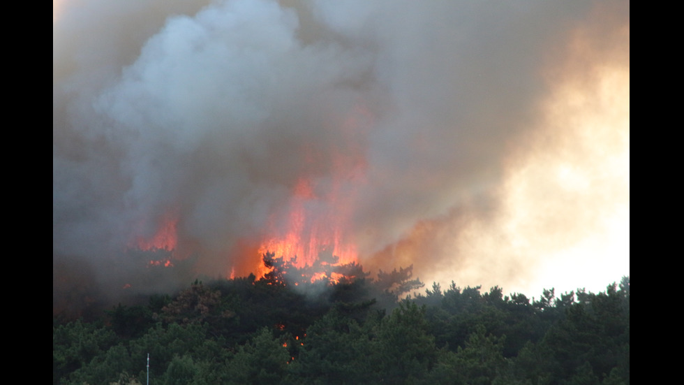 Огромен пожар близо до стадион „Берое” в Стара Загора