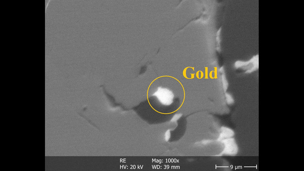 Български учен откри злато на Антарктида