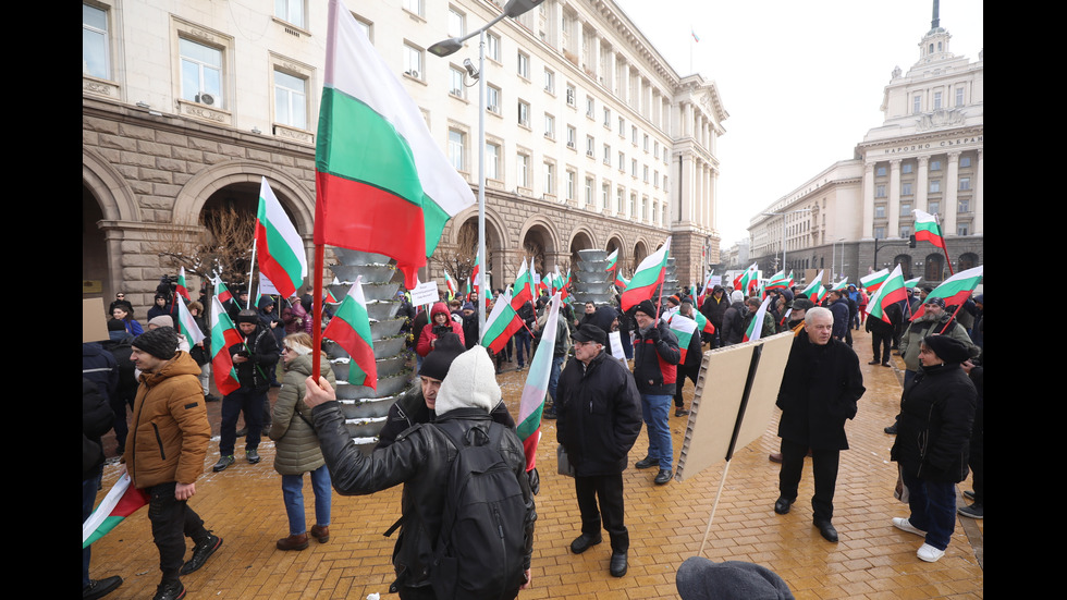 „Величие“ протестира пред Конституционния съд