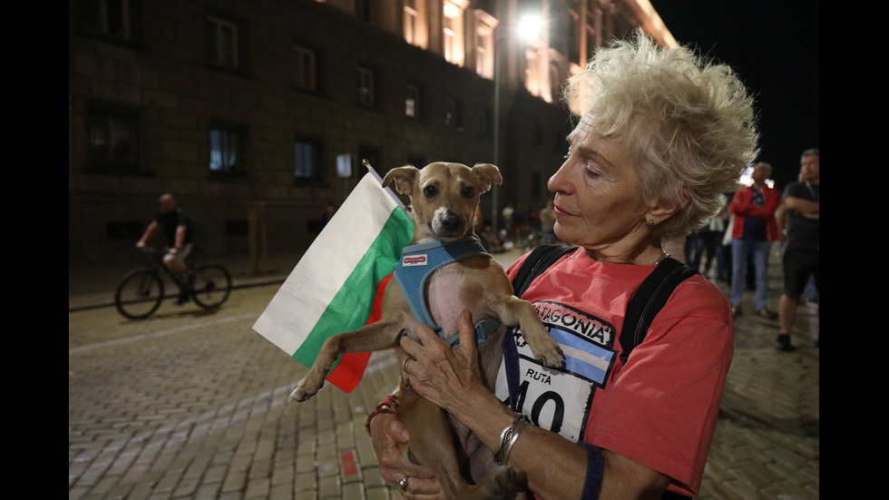 Протестиращи пред НС в подкрепа на майки от "Системата ни убива"