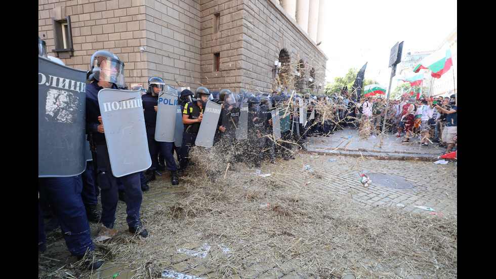 Демонстранти замеряха полицията със сено в Триъгълника на властта