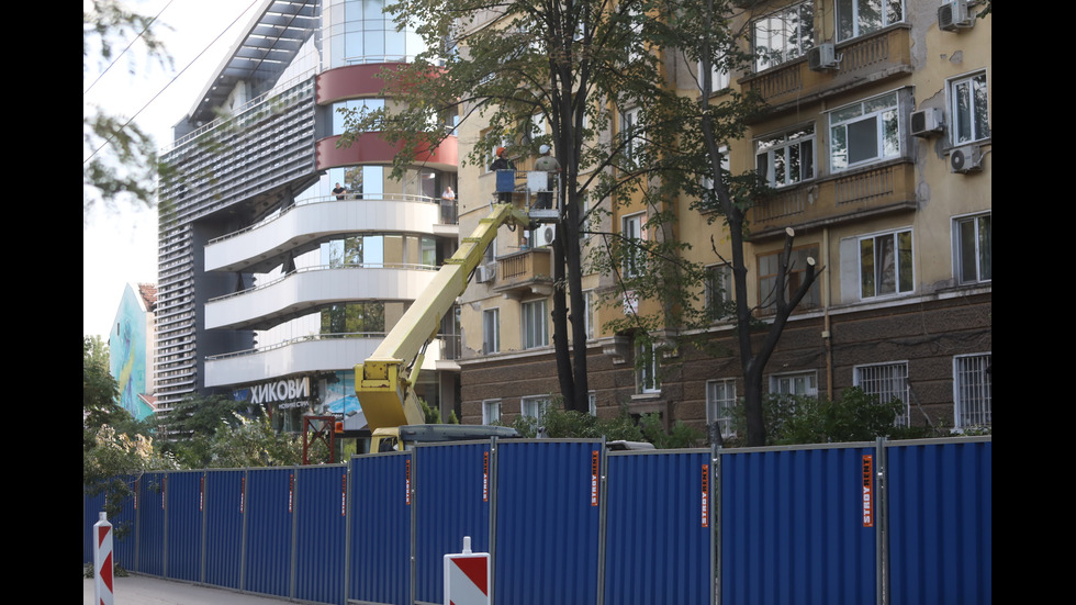 Започна рязането на дървета на улица "Опълченска" в София