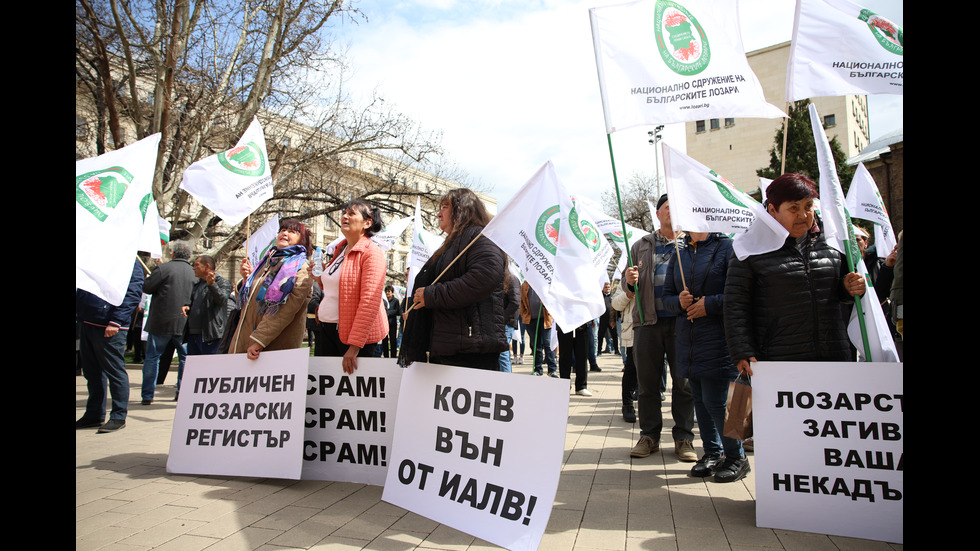 Лозари излязоха на протест