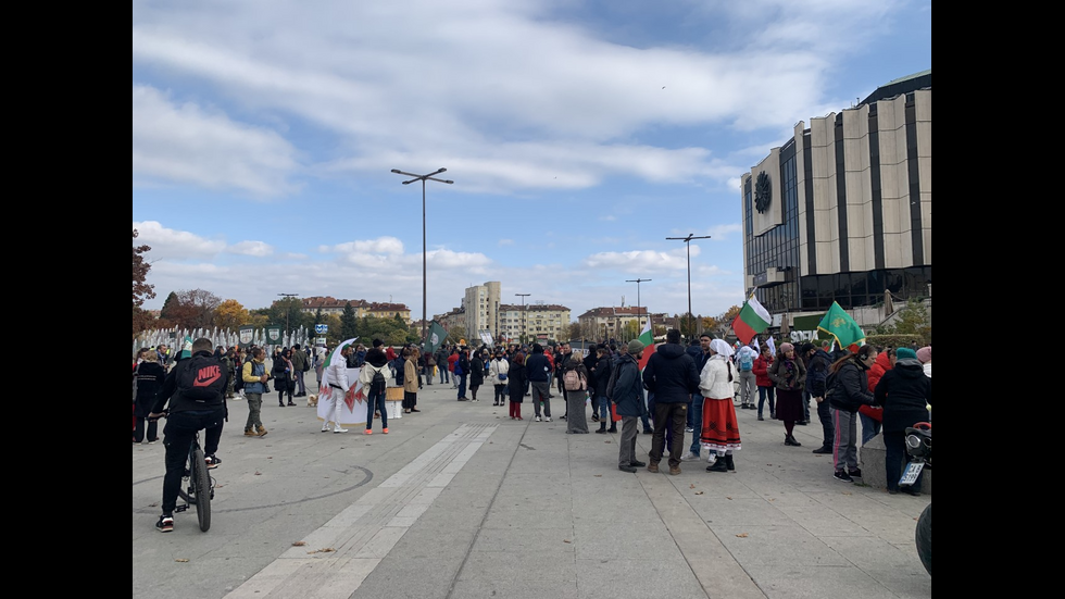 Пореден протест срещу зелените сертификати в София