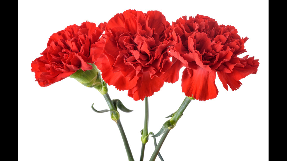 10 любопитни факта за месец януари