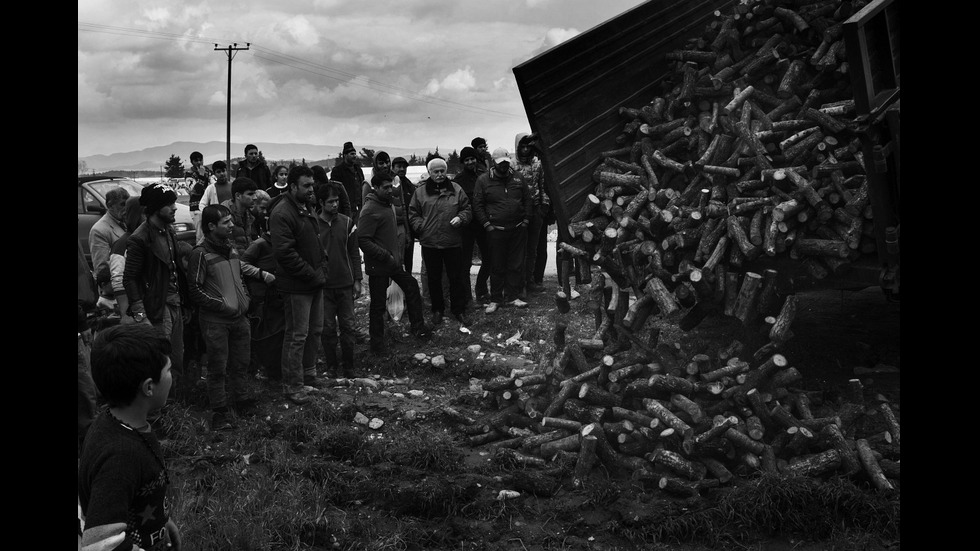 Български фоторепортери показват уникални кадри