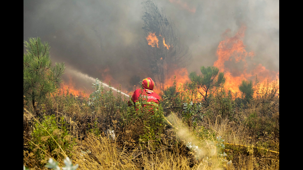 Поне 20 души са ранени при десетки горски пожари в Португалия