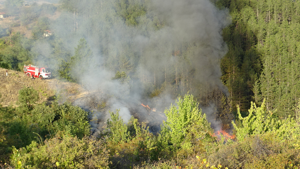 Пламна сметище край Благоевград, огънят стигна борова гора