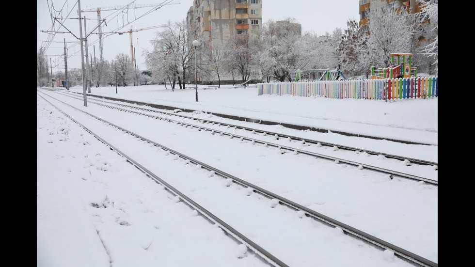 Обилен снеговалеж в София