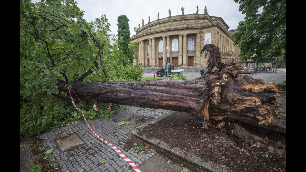 Буря събори дървета и причини наводнения на места в Германия