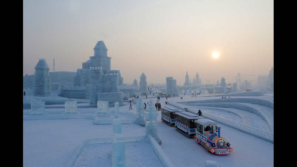 2020 през фотографските обективи