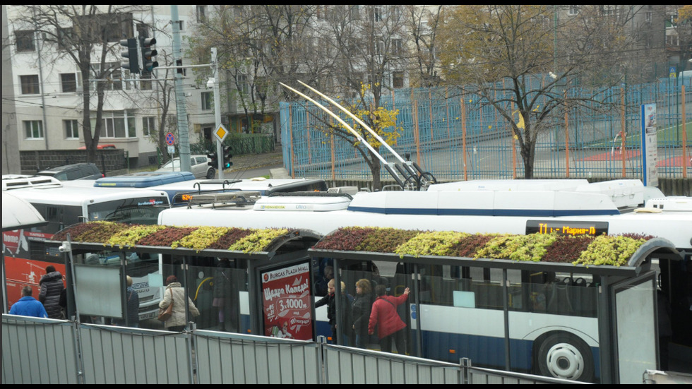 Засадиха растения върху автобусни спирки в Бургас
