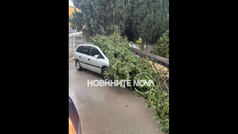 Паднали дървета и наводнени улици в цялата страна след пороите