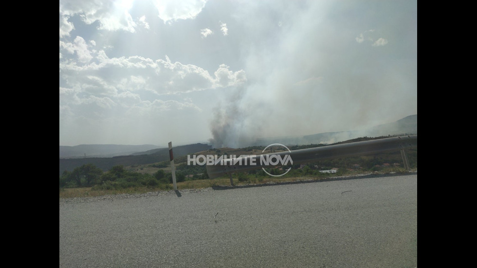 Огромен пожар застрашава гората над Големо Бучино