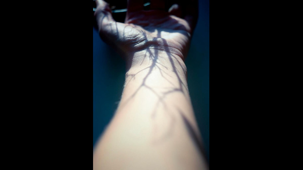 15 фотографи, които знаят как да използват сенките