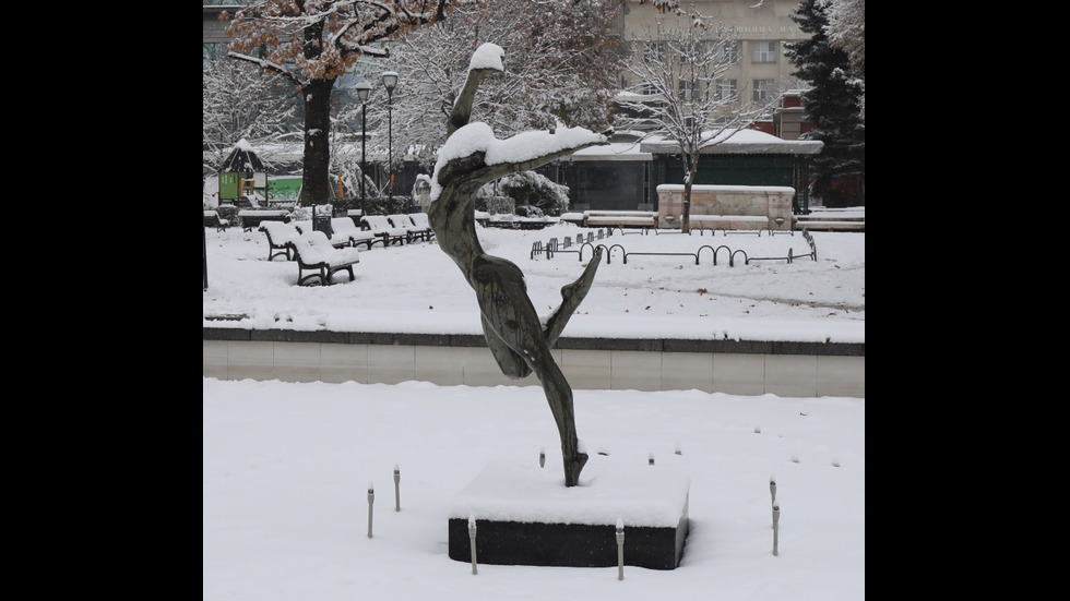 Сняг заваля на много места в страната