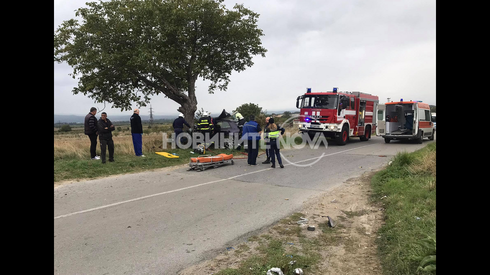 Кола се заби в дърво, шофьорът е заклещен вътре