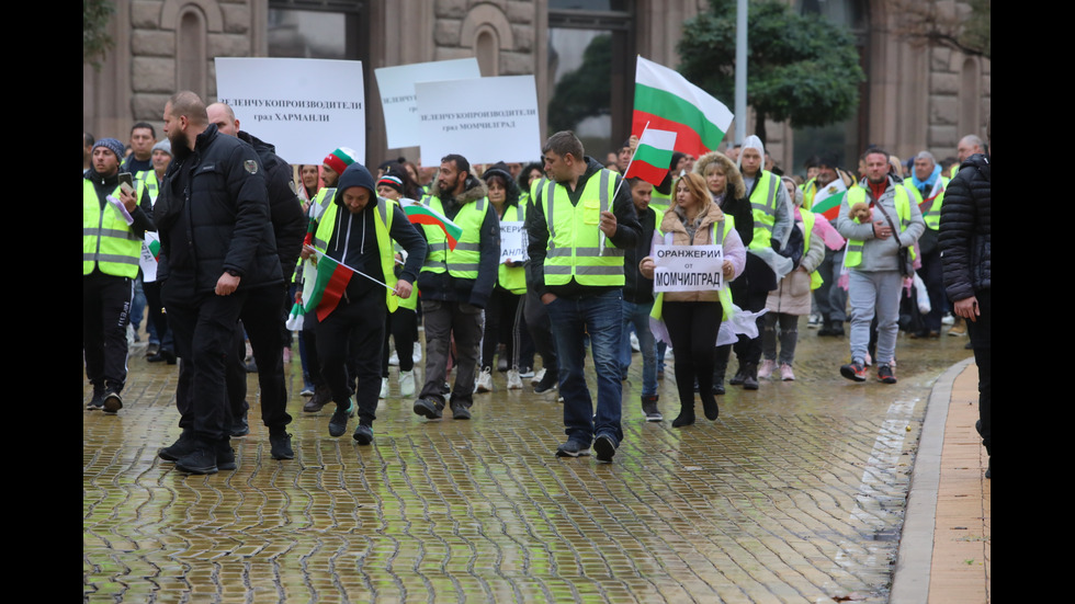 Фермери и животновъди отново излизат на протест