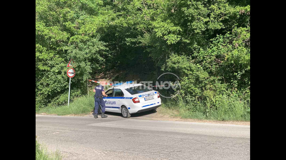 Откриха седем тела, заровени в гора край София, задържан е погребален агент