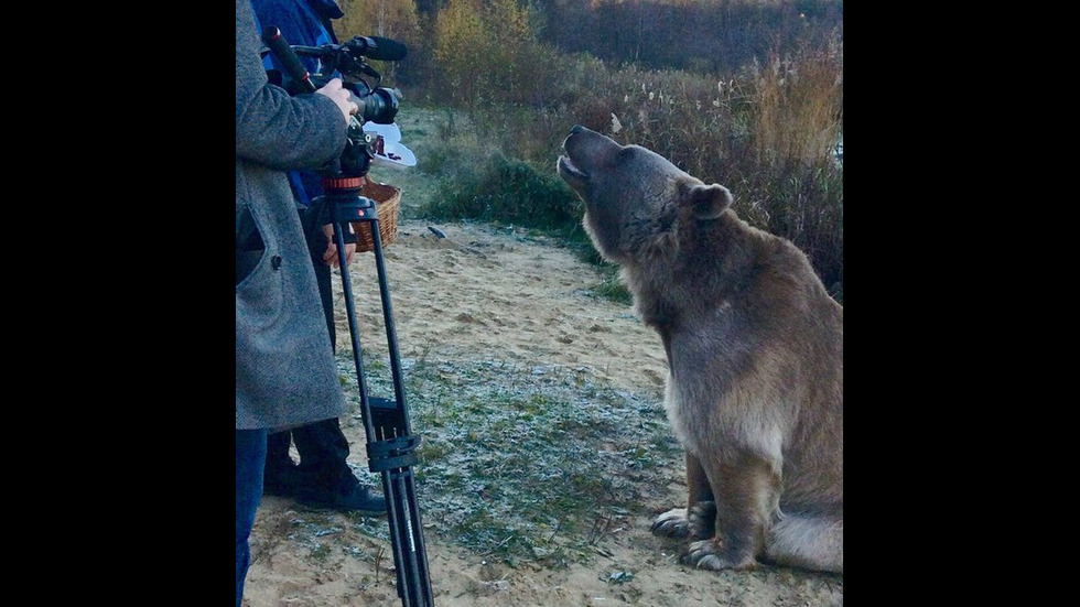 Фотосесиите на мечока Степан