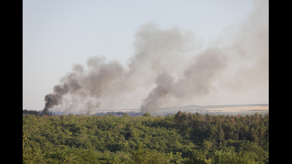 Огнеборци гасят пожар в гора край Русе