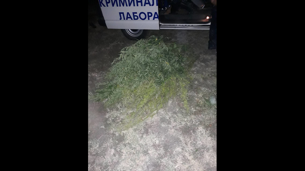 Разбиха наркогрупа в Бургаско, 12 души са арестувани