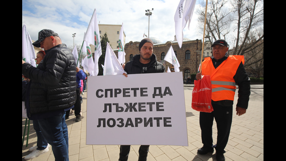 Лозари излязоха на протест