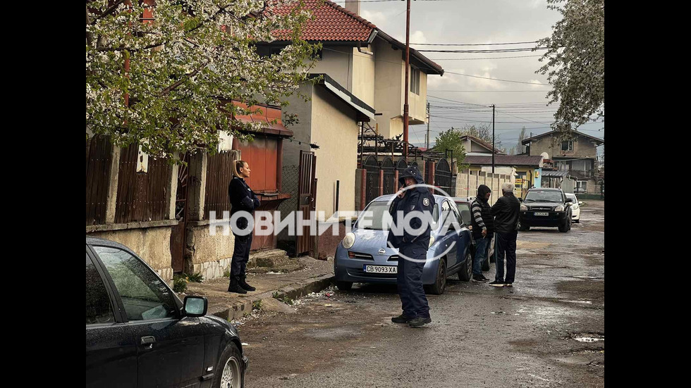 Куче нападна и уби стопанина си в София