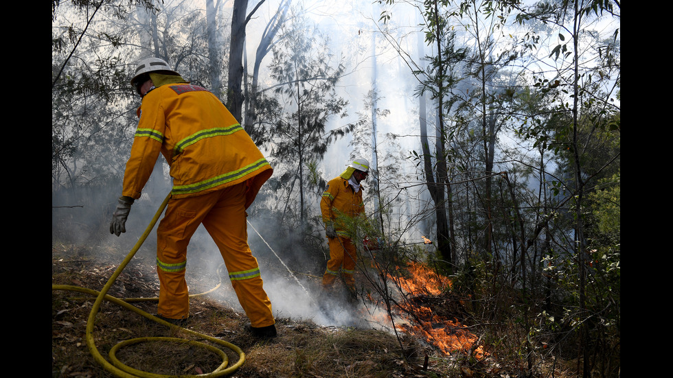 Пожарите в Австралия отново се разгарят
