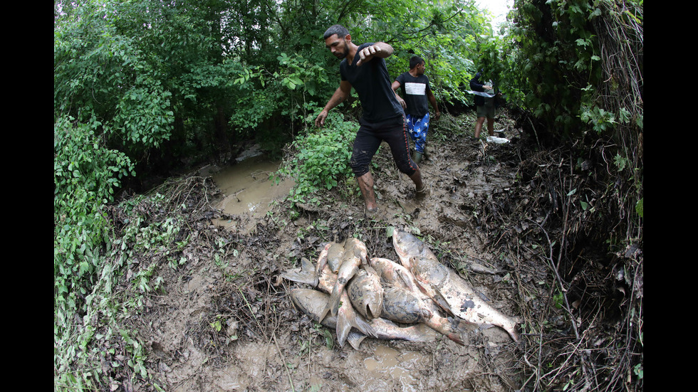 Скъсана язовирна стена в село Нова Върбовка