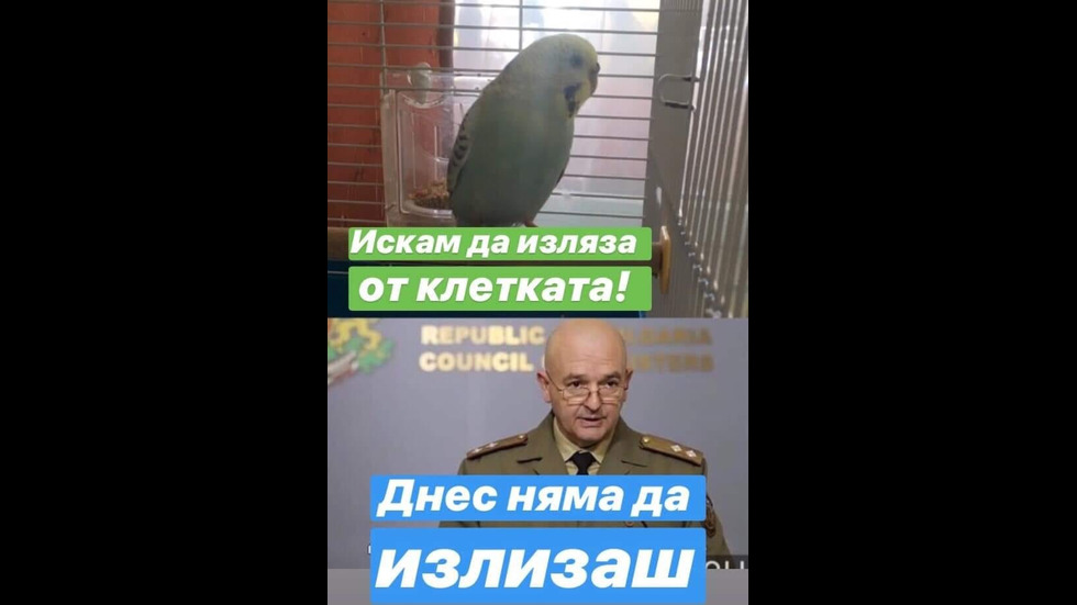 Генералът каза или как Мутафчийски стана любим образ в социалните мрежи