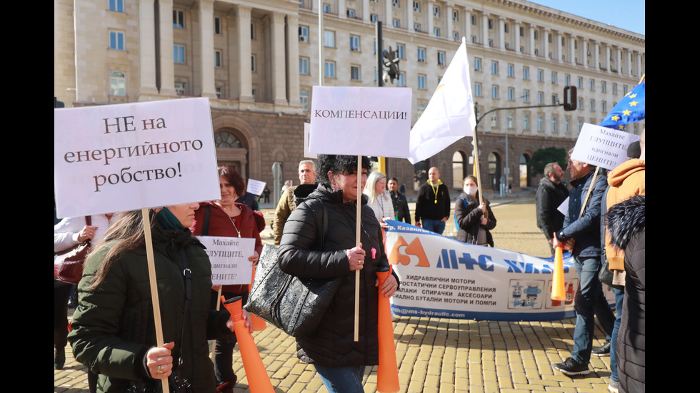 Бизнесът и синдикатите излязоха на протест