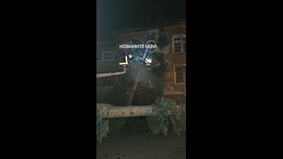 Мощна буря в Кюстендил, кметът – с призив за помощ