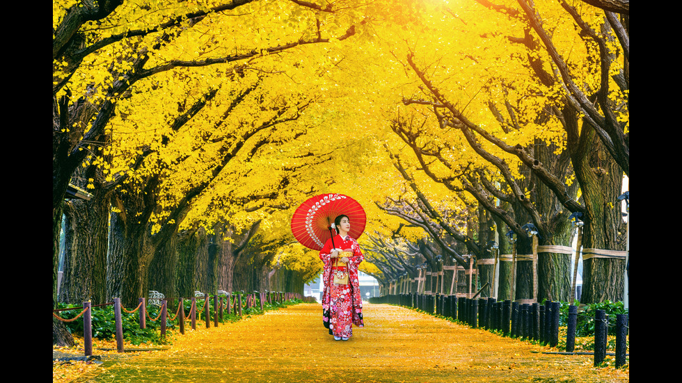 Есенна Япония - страната, в която ходят на "лов за листа"