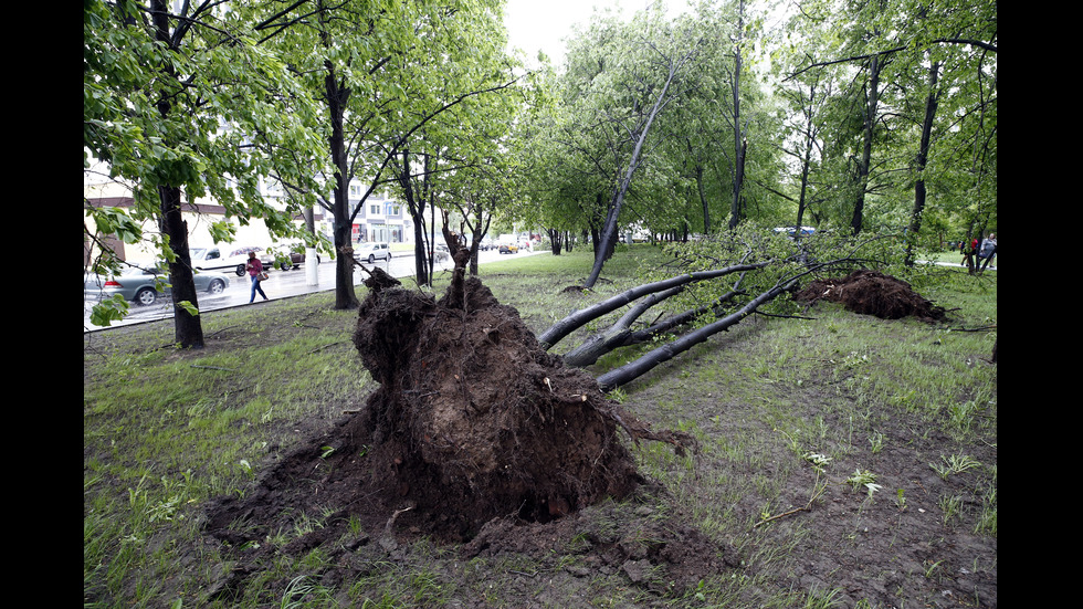 УРАГАН В МОСКВА: Броят на жертвите достигна 6 души