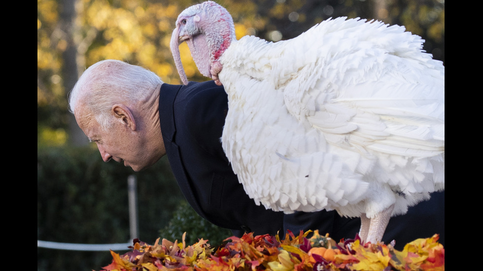 Байдън помилва две пуйки по случай Деня на благодарността