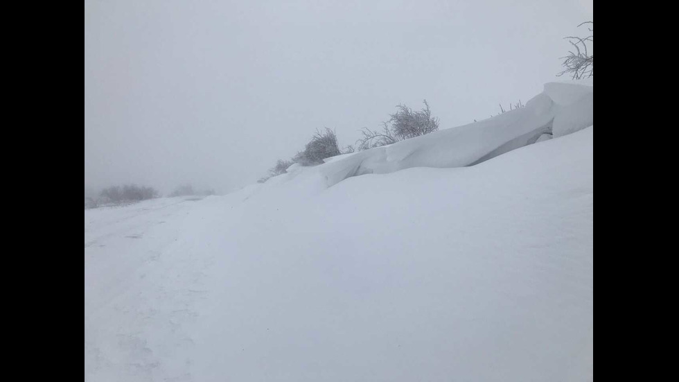 2 коли закъсаха на пътя между Бузлуджа и Шипка