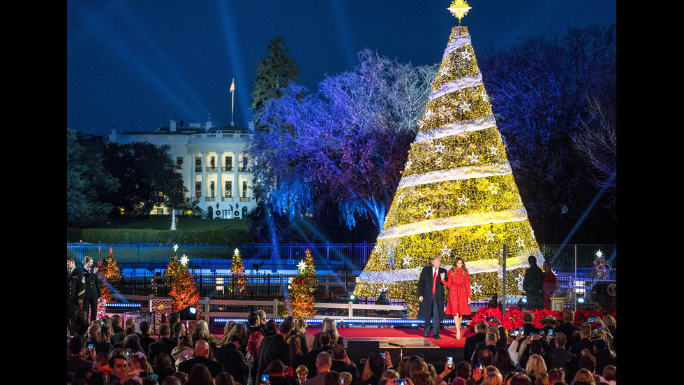 Тръмп запали светлините на коледното дърво пред Белия дом