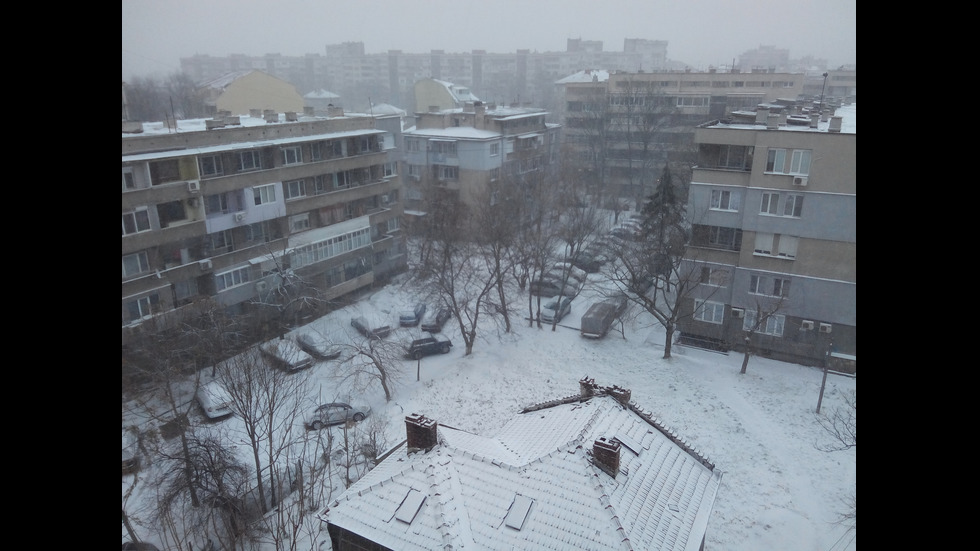 Сняг в Северна България