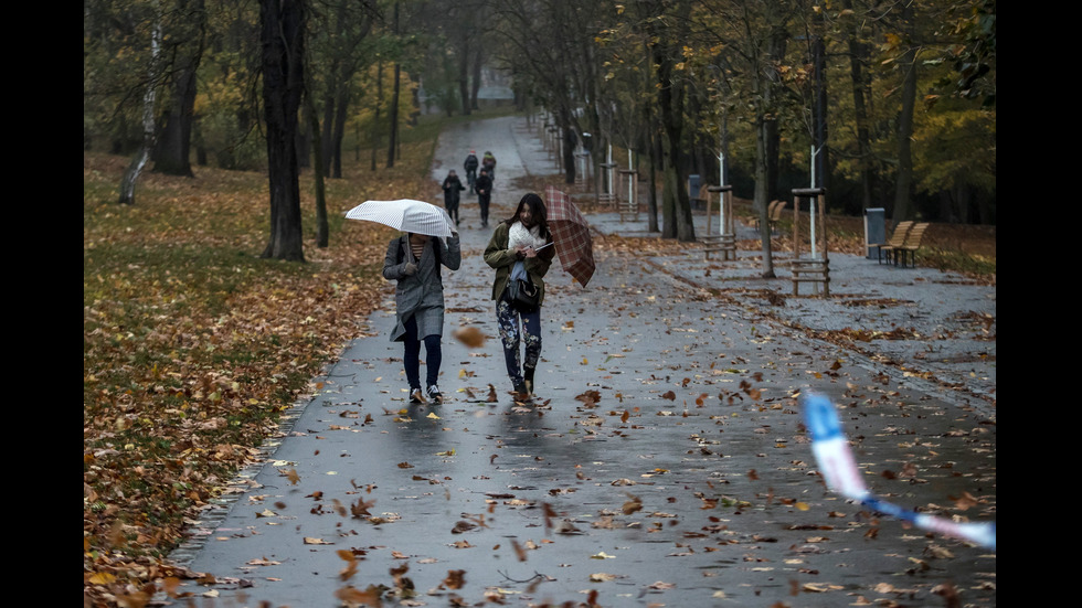 Ураганът „Херварт” в Европа взе жертви