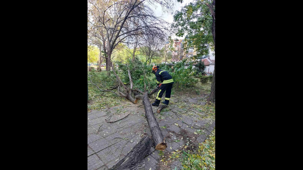 Сигнали за паднали дървета и клони, висящи ламарини, неукрепени билбордове в Пловдив