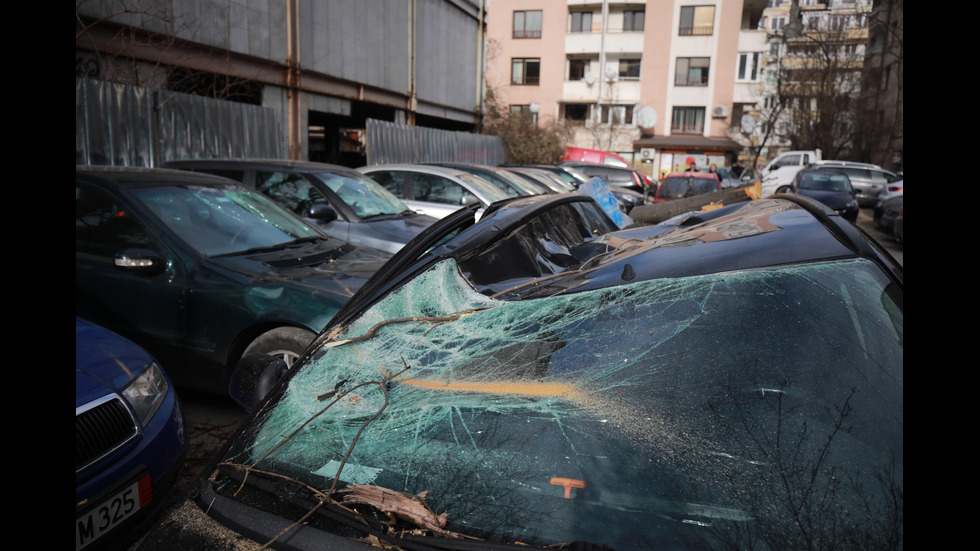Бурният вятър нанесе щети в София