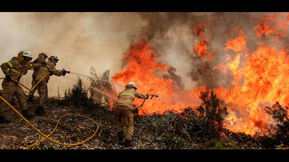 Горски пожари в Португалия взеха 24 жертви