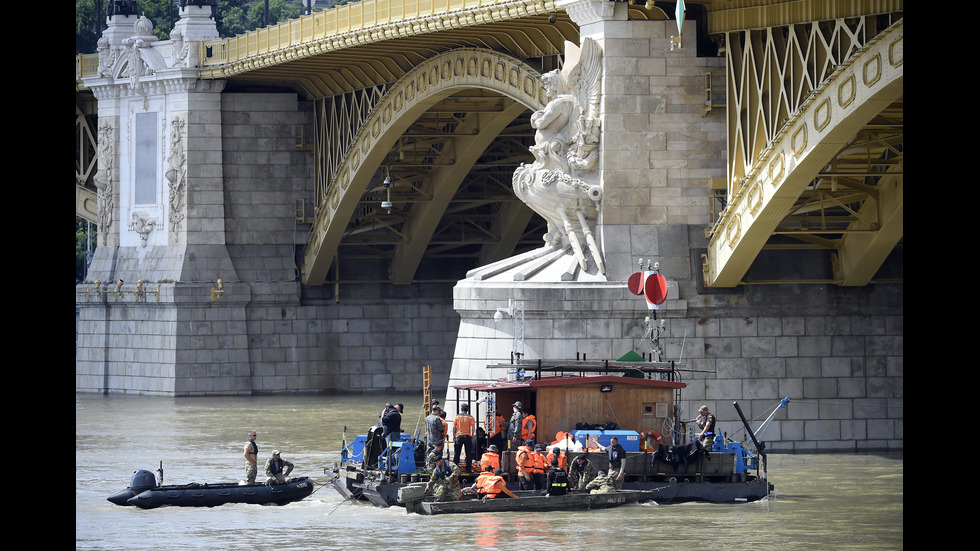 Новините на 2019-а в снимки