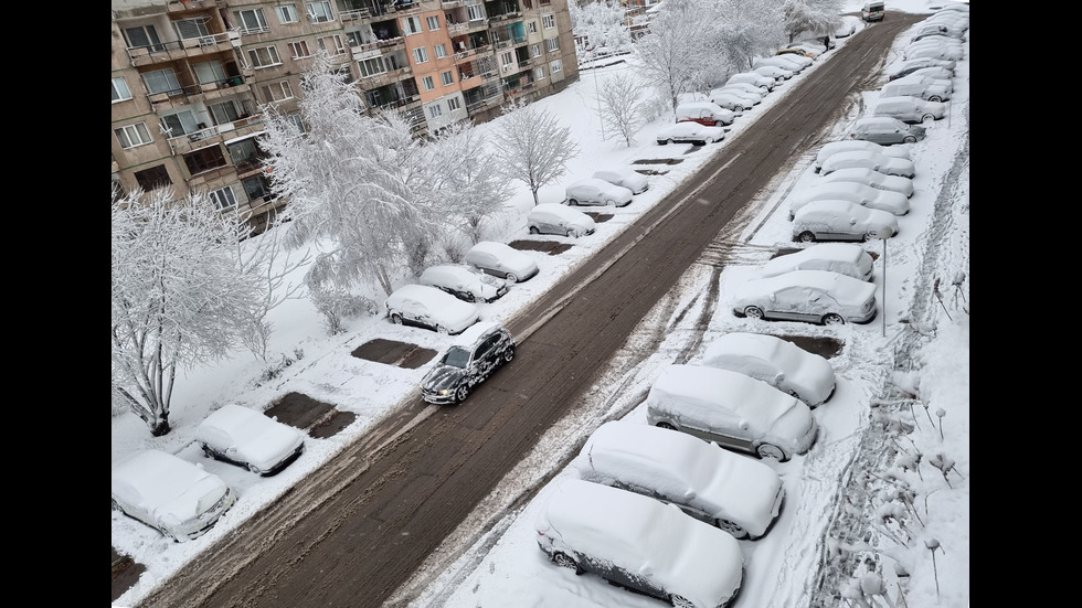 Обилен снеговалеж в София