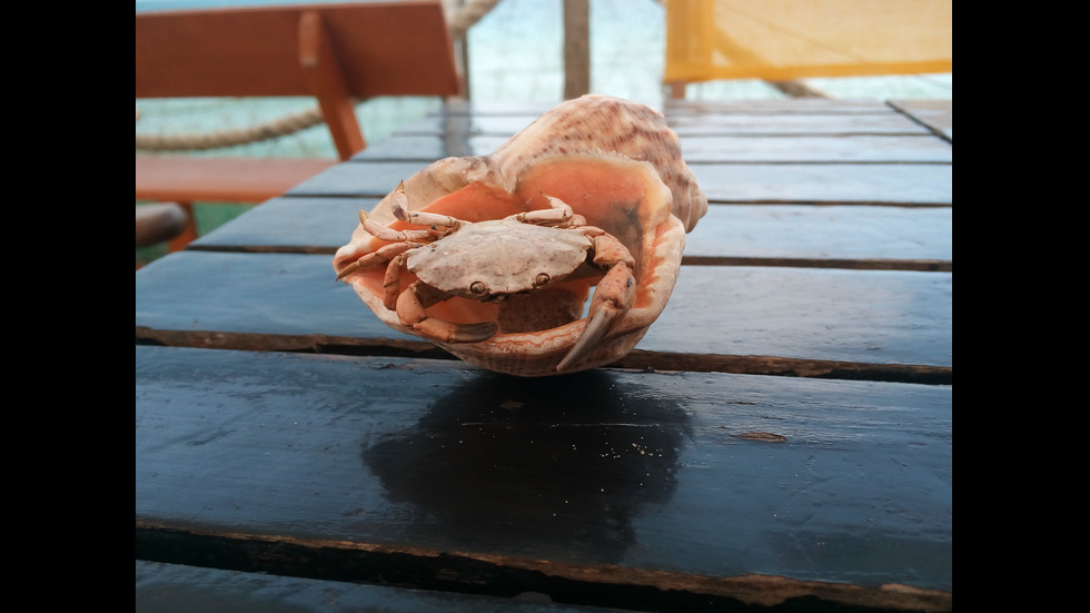 На море с „Моята новина”